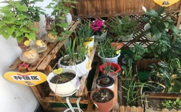区角幼儿园培训总结参考6篇