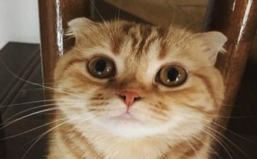 您冤枉了我作文600字7篇