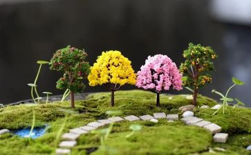 校园艺术节活动方案精选8篇