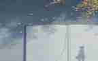 写阅读心得体会作文推荐8篇
