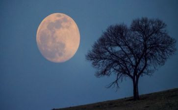 月亮岛作文优秀6篇