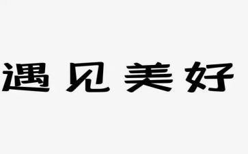 我在中遇见你作文6篇