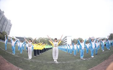 市运会观后感优质6篇