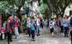 在校本学期个人总结7篇