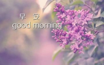 幼儿园早教班个人总结7篇
