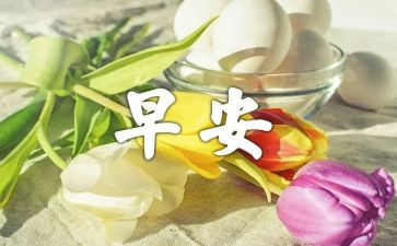 早教活动方案7篇