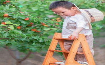 摘果子游戏教案5篇