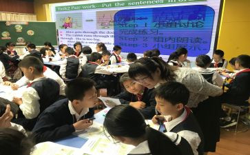 展示课活动总结8篇