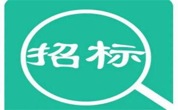 招标股的工作总结7篇