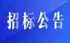 招标岗个人总结6篇