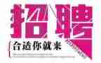 招聘员的年终总结6篇