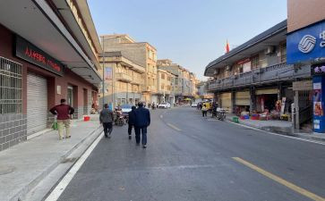 镇园林办个人总结7篇