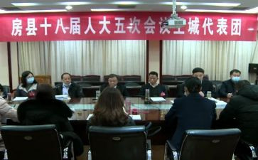 镇代表个人总结5篇