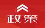 双减政策下学校的工作总结7篇
