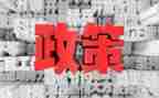 双减政策下活动总结7篇