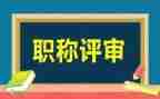 正高级教师职称工作总结6篇