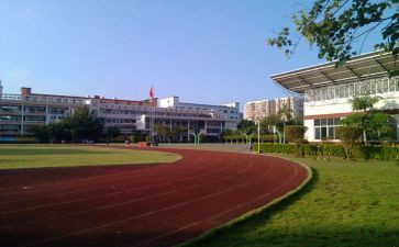小学政教主任工作总结6篇