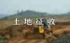 征收办工作总结5篇