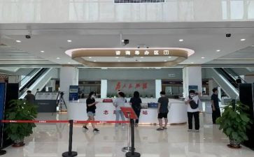 政务处工作总结8篇