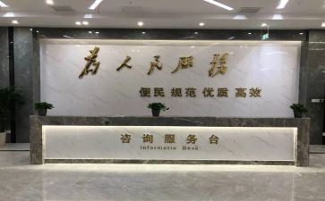 政务中心个人工作总结6篇