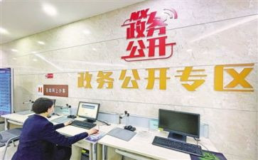 乡政务公开日活动总结6篇