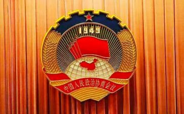 镇办政协工作总结7篇