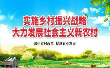 乡村振兴的活动总结7篇