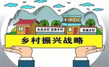 振兴队工作计划5篇