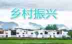 乡村振兴个人总结工作总结7篇