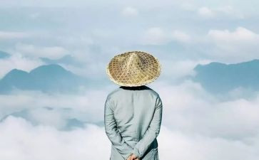 做智慧的教师心得体会模板6篇