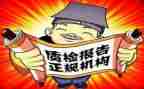 质检所个人年终工作总结7篇