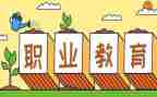 新入职教师的个人总结8篇