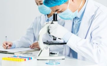 工程质量工作总结范文8篇