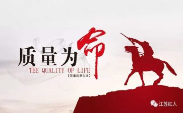 局质量工作总结范文6篇