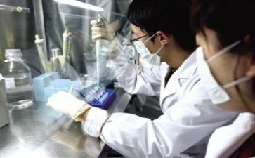 医疗质量工作总结6篇