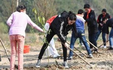 植树月活动总结范文6篇