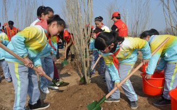 党日植树活动总结优质7篇