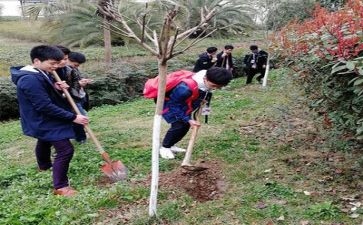 党日植树活动总结推荐5篇