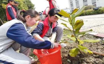 义务植树工作总结7篇