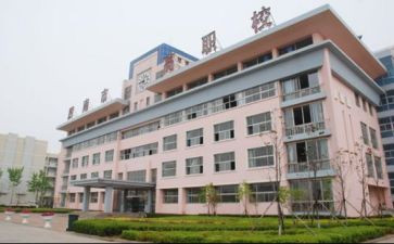 职校学生会工作总结范文6篇
