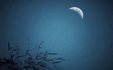 觅知音作文5篇