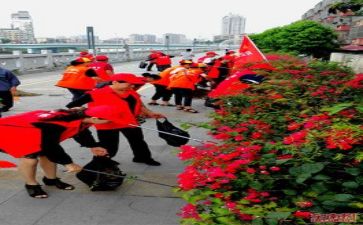 志愿者活动总结报告7篇