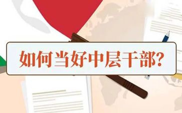 小学中层述职报告7篇