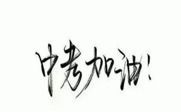 学校中考工作总结8篇