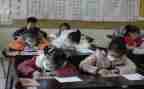 小学中年级数学教学总结参考8篇