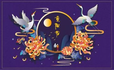 重阳节敬老月活动总结模板7篇