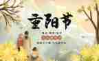 小学重阳节开展活动总结6篇
