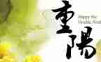 小学重阳节主题活动总结5篇