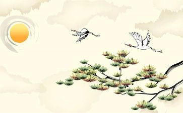 重阳节活动活动总结6篇