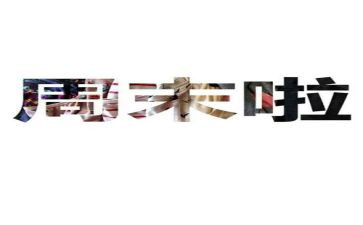 我的周末作文模板5篇